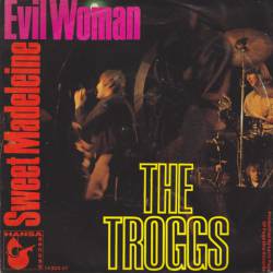 The Troggs : Evil Woman